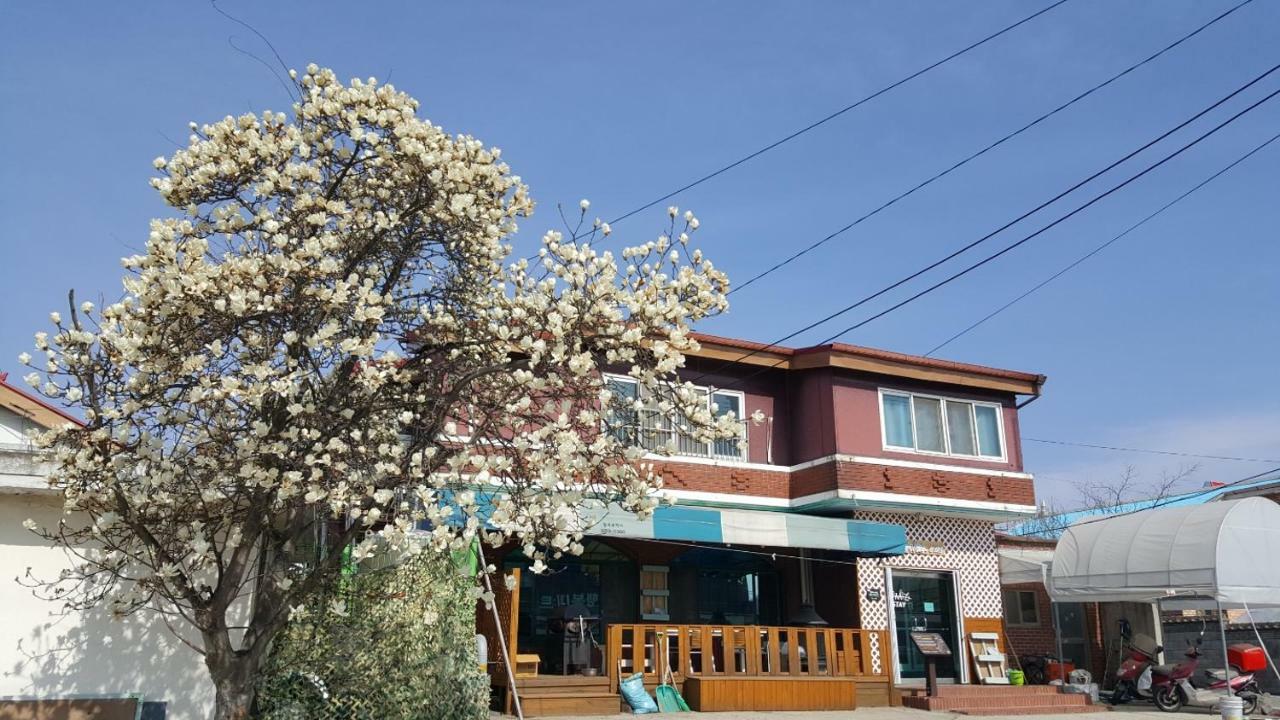 The Guesthouse Dmz Stay Paju Buitenkant foto